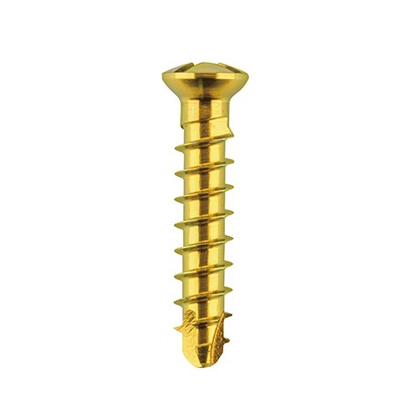2.4 locking Mini screw ჭანჭიკი  არამაბლოკირებელი